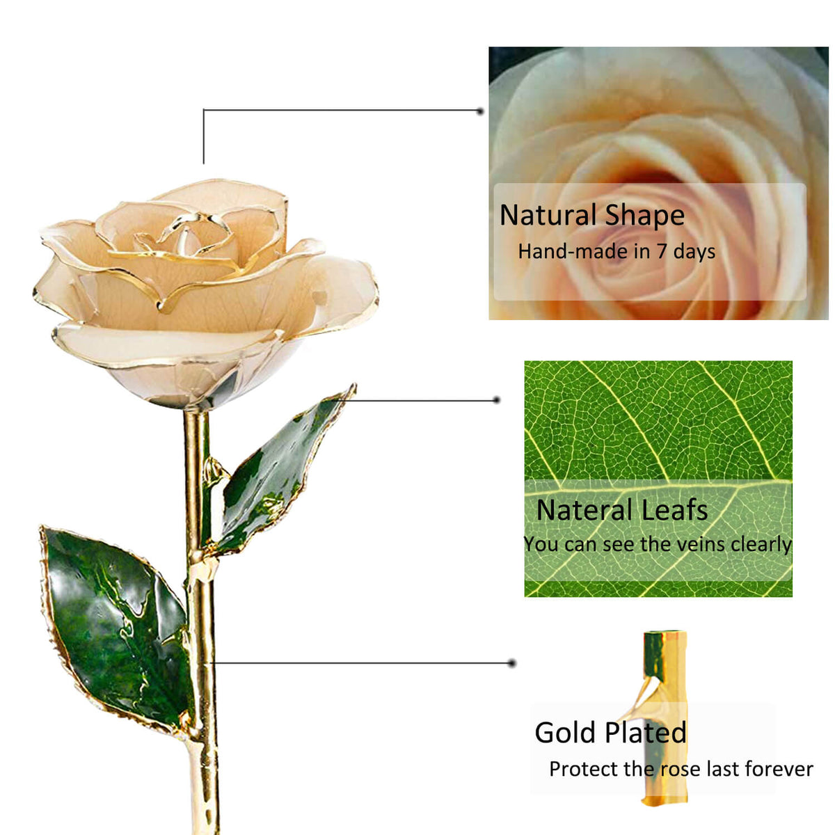 Mother's Day gifts | 24K Gold Dipped Rose | Gifts for Her/Wife/Mom