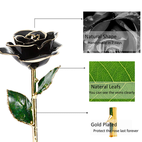 24K Gold Dipped Rose