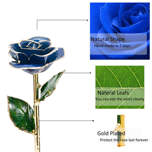 24K Gold Dipped Rose 