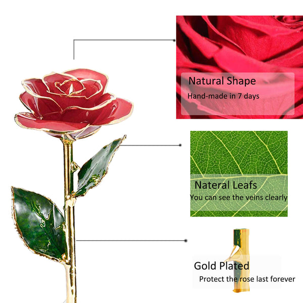 24K Gold Dipped Rose